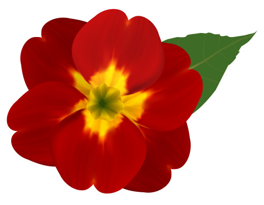 1426335 (a): :6260x4855